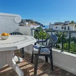 38, Gaivota