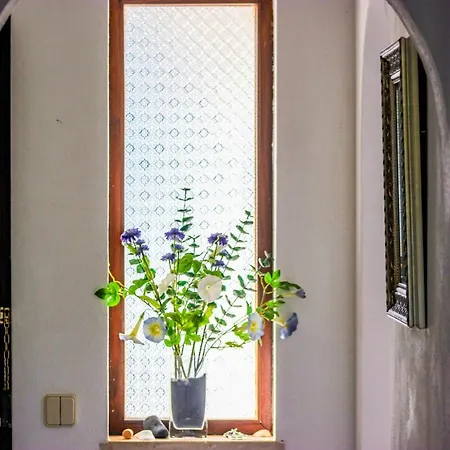 38, Gaivota