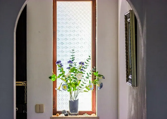 38, Gaivota