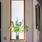 38, Gaivota